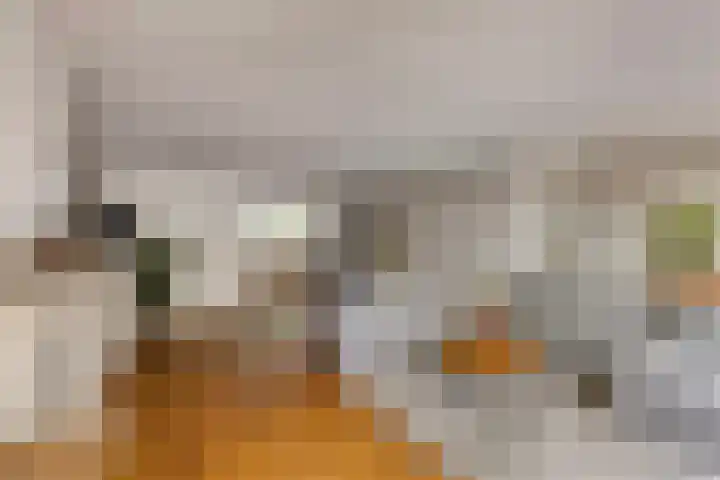 Meercamp 57 Houten thumbnail 9