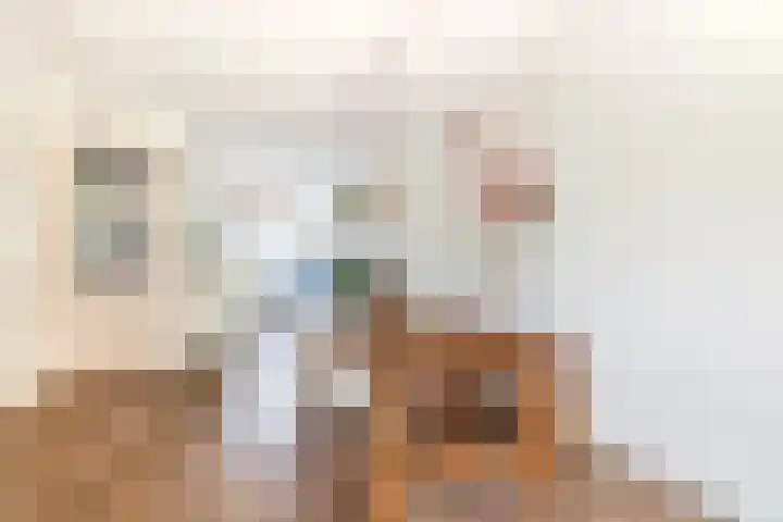 Meercken 6 Waalre thumbnail 15
