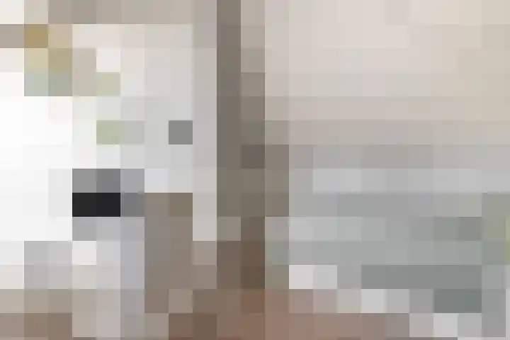 Meercken 6 Waalre thumbnail 31