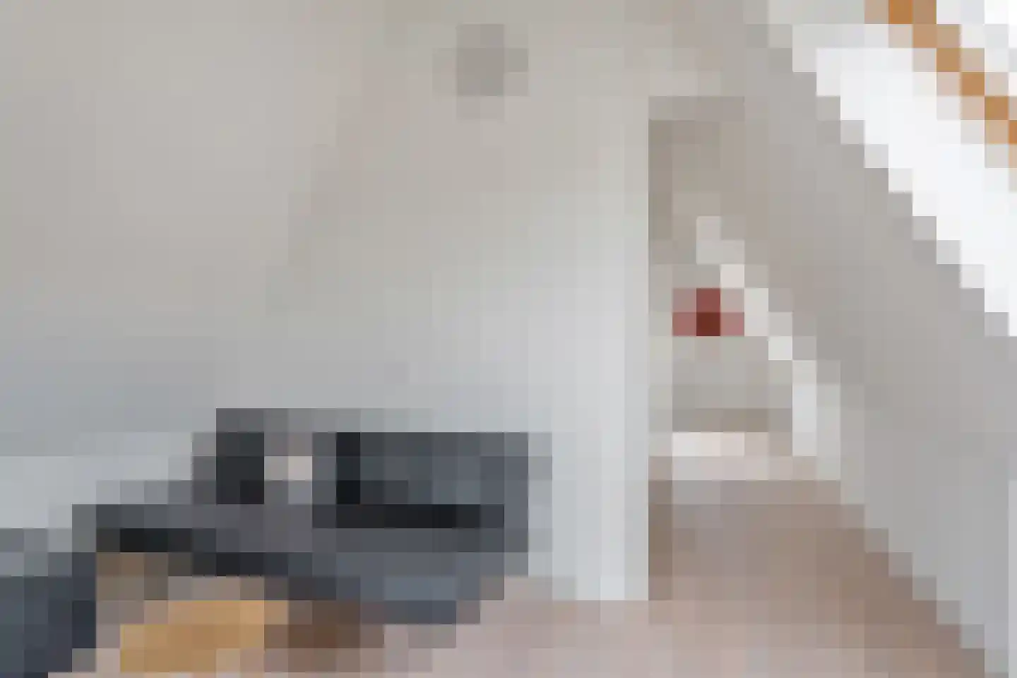 Meerdervoortstraat 1 Zoetermeer thumbnail 33