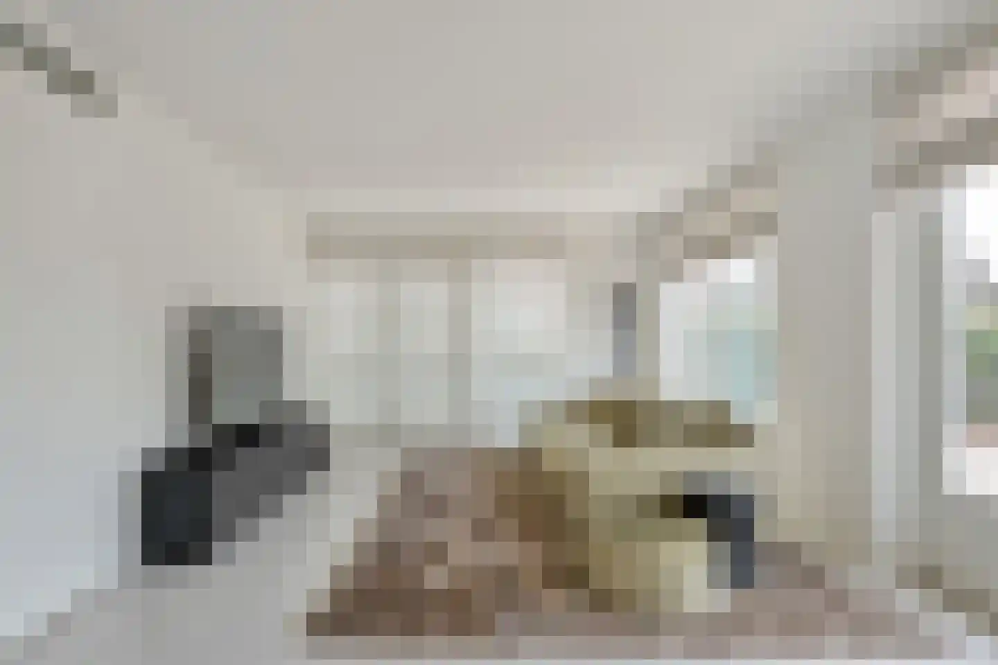 Meerdervoortstraat 1 Zoetermeer thumbnail 6