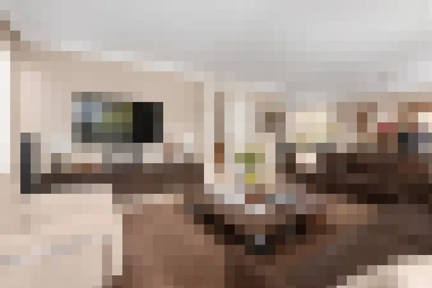 Meerdervoortstraat 5 Zoetermeer thumbnail 12
