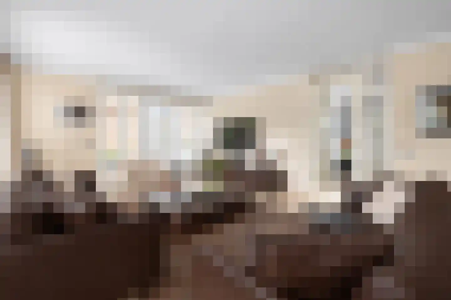 Meerdervoortstraat 5 Zoetermeer thumbnail 14