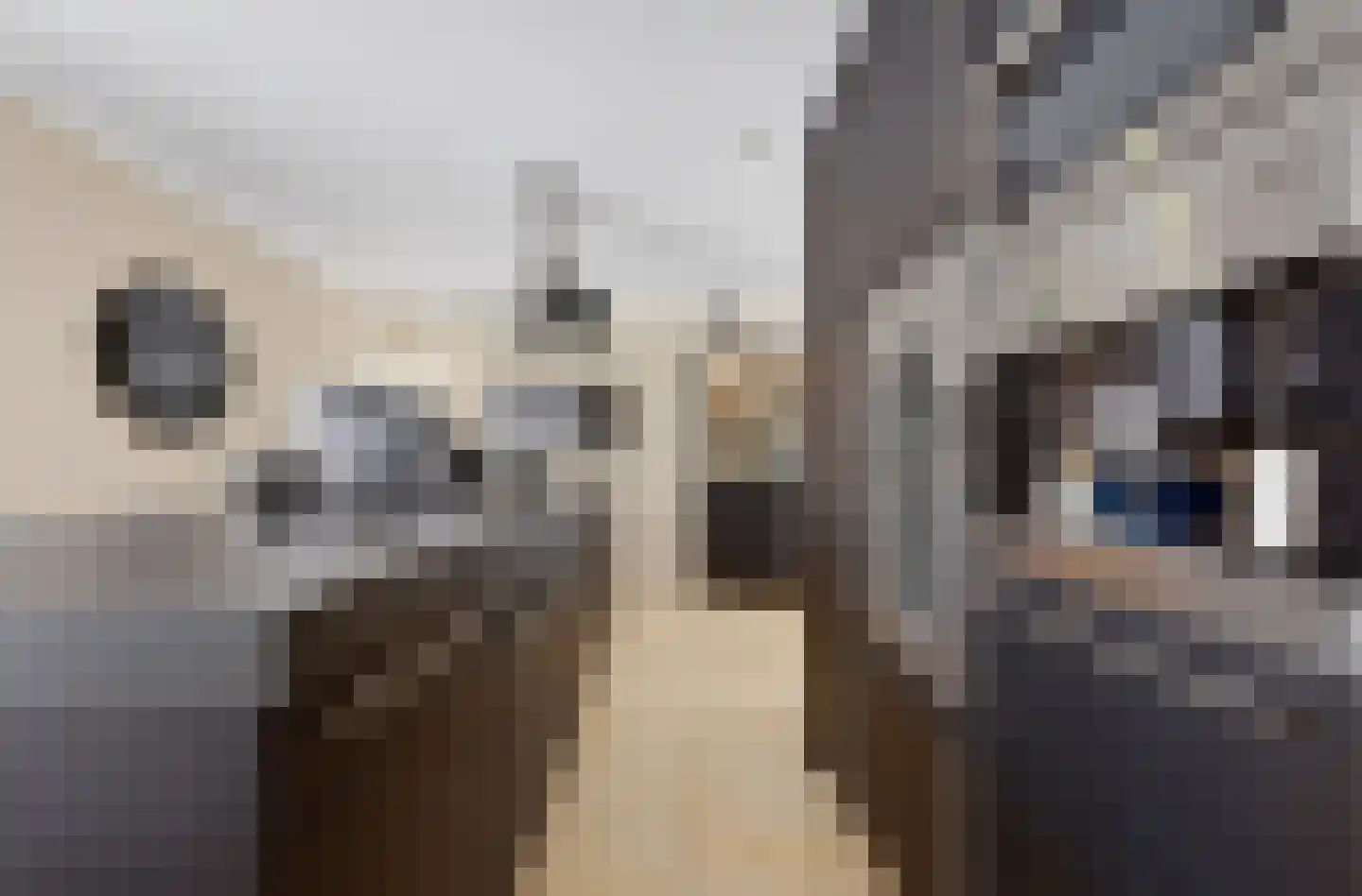 Meerdervoortstraat 5 Zoetermeer thumbnail 20