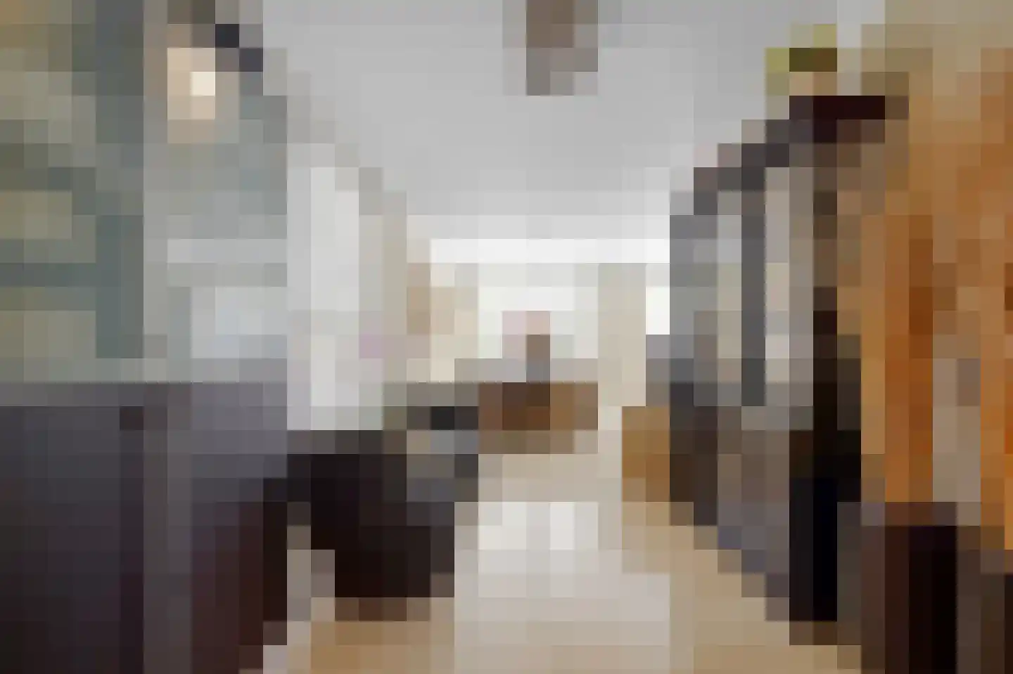 Meerdervoortstraat 5 Zoetermeer thumbnail 21
