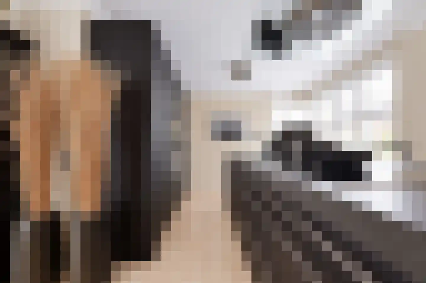 Meerdervoortstraat 5 Zoetermeer thumbnail 22