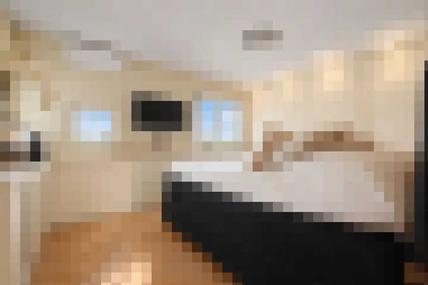 Meerdervoortstraat 5 Zoetermeer thumbnail 34