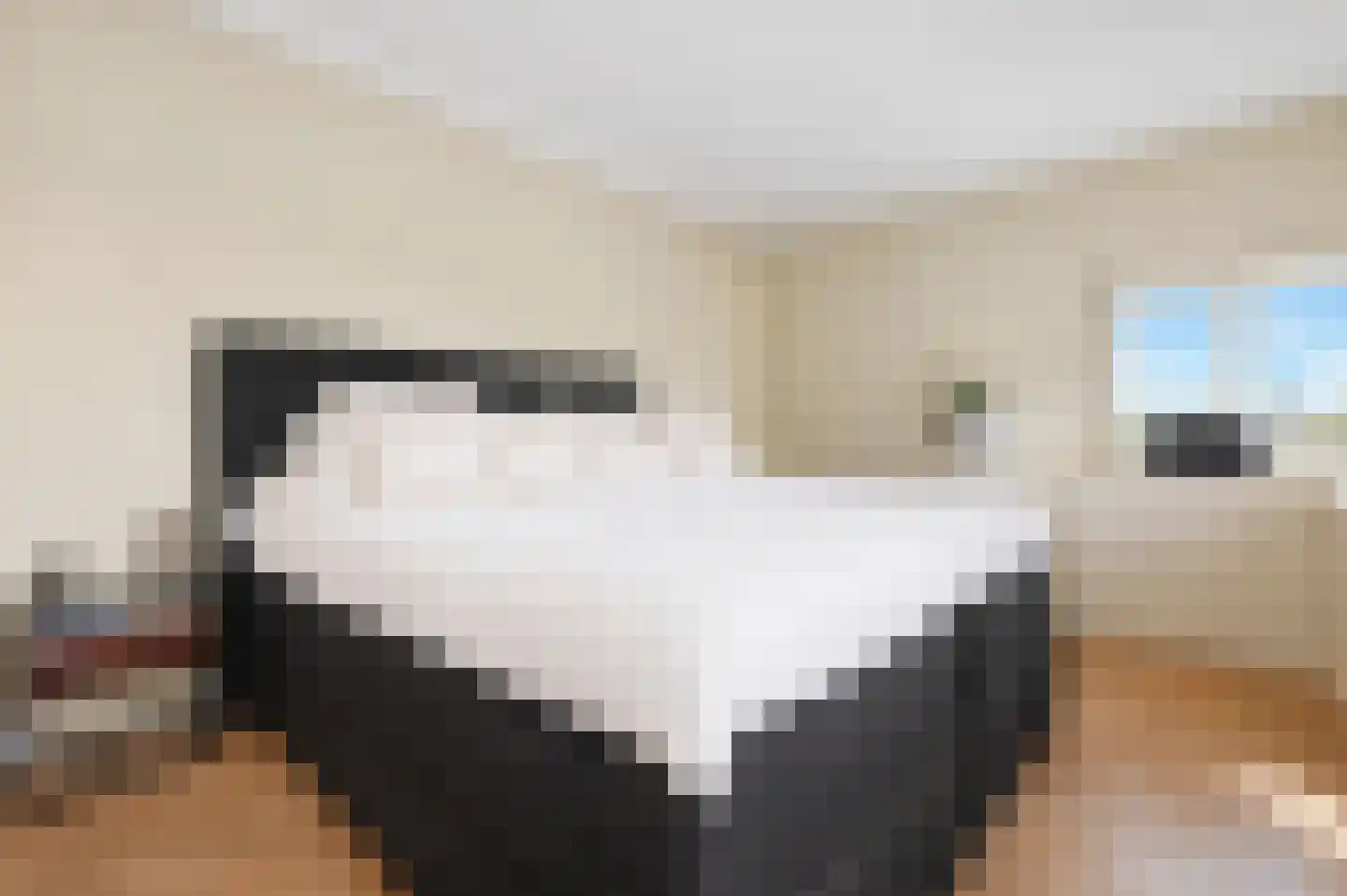 Meerdervoortstraat 5 Zoetermeer thumbnail 35