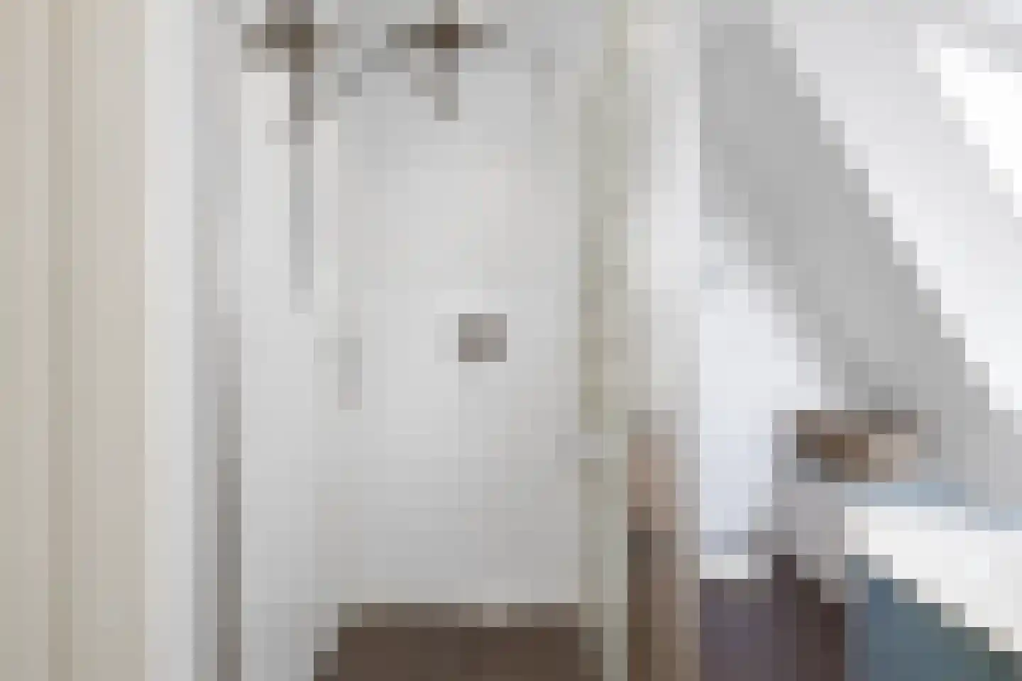 Meerdervoortstraat 5 Zoetermeer thumbnail 43