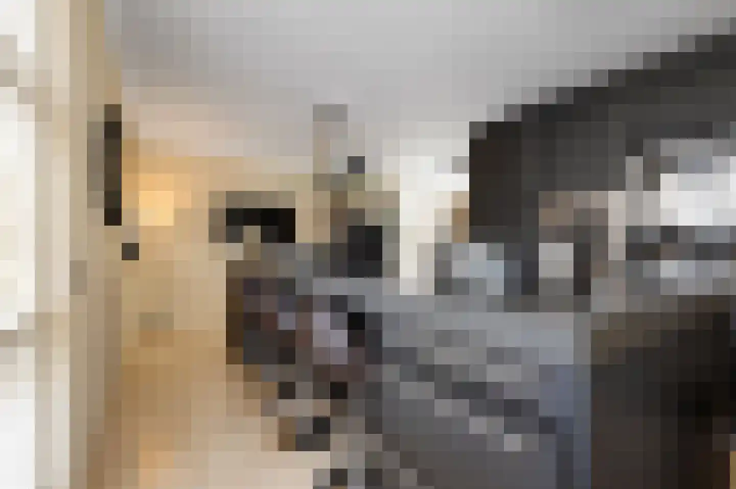Meerdervoortstraat 5 Zoetermeer thumbnail 5