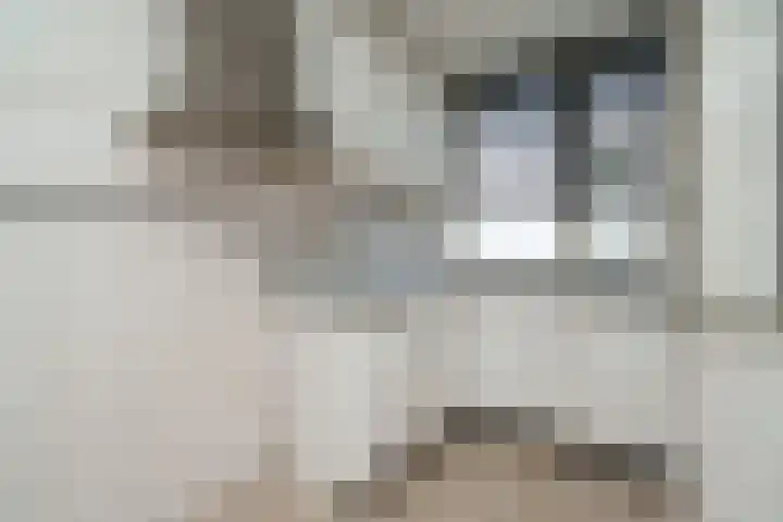 Meerdijk 23 Rotterdam thumbnail 9