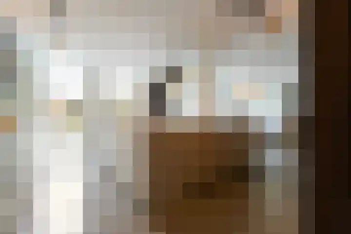 Meerdijk 3 a Waalwijk thumbnail 22