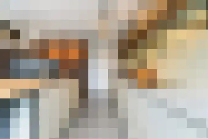 Meerdijk 3 a Waalwijk thumbnail 24