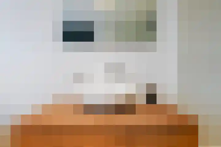 Meerdijk 3 a Waalwijk thumbnail 36