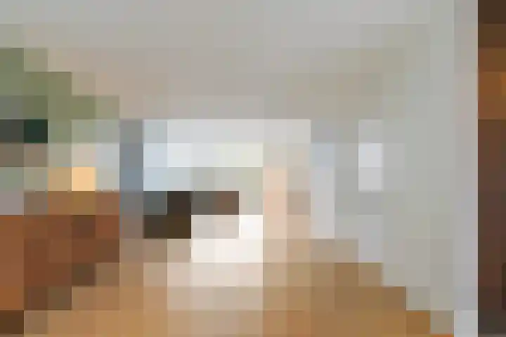 Meerdijk 3 a Waalwijk thumbnail 8