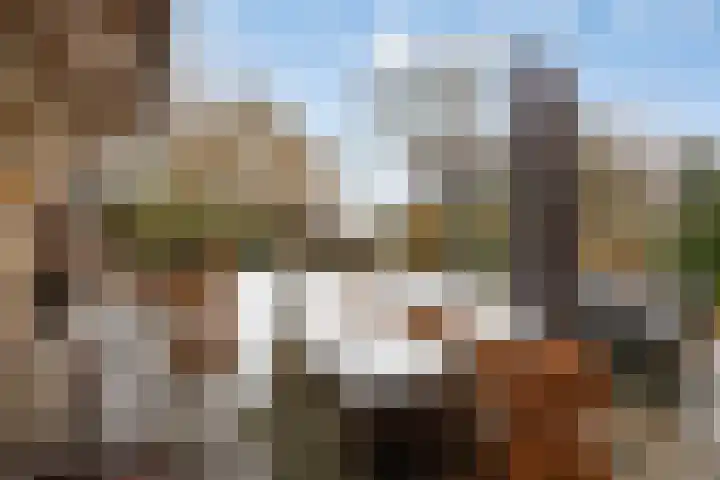 Meerdijkpark 25 Drunen thumbnail 4