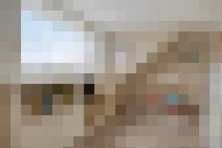Meerdijkpark 25 Drunen thumbnail 43