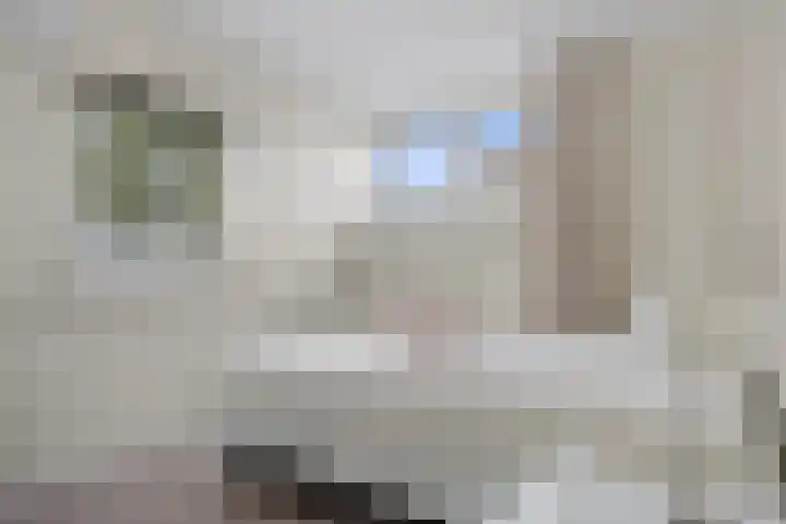 Meerdijkpark 3 Drunen thumbnail 29