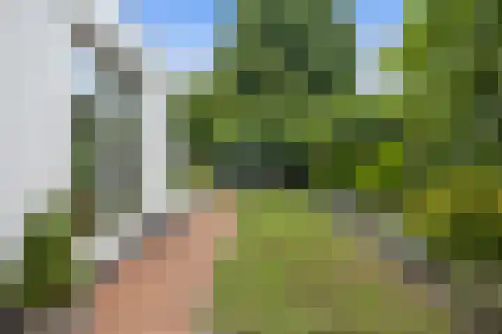 Meerdijkpark 3 Drunen thumbnail 41