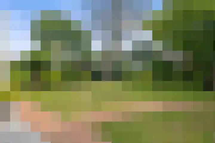 Meerdijkpark 3 Drunen thumbnail 43