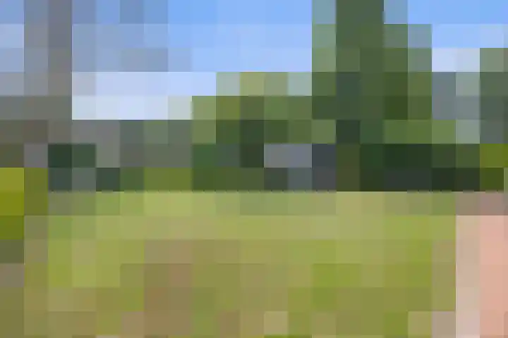 Meerdijkpark 3 Drunen thumbnail 44