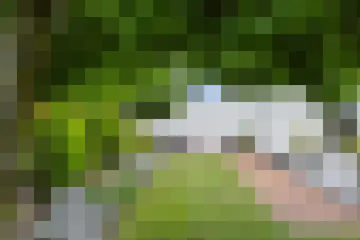 Meerdijkpark 3 Drunen thumbnail 45