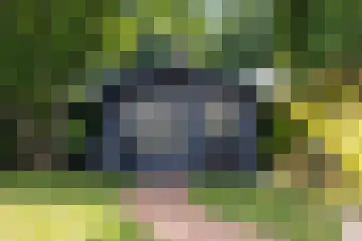 Meerdijkpark 3 Drunen thumbnail 46