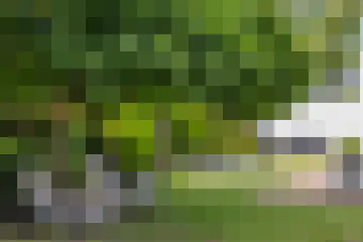 Meerdijkpark 3 Drunen thumbnail 47
