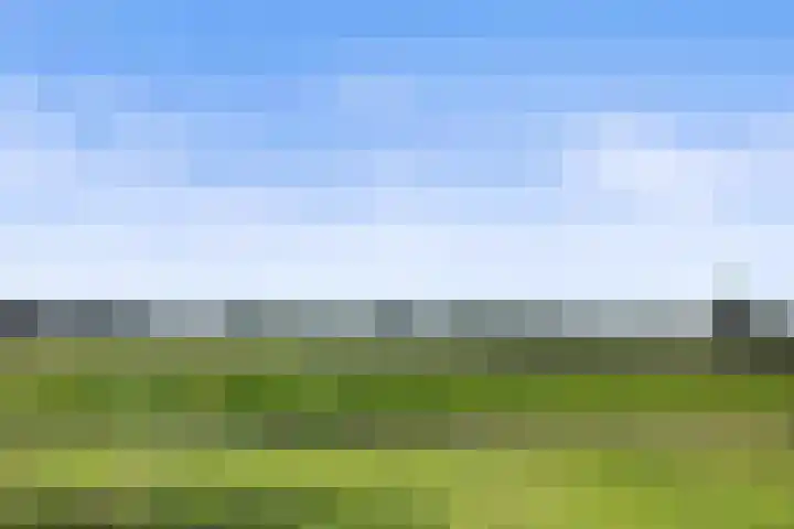 Meerdijkpark 3 Drunen thumbnail 54