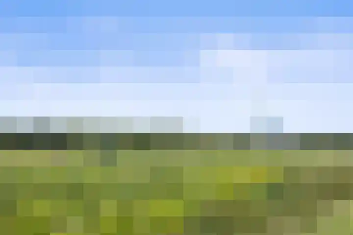 Meerdijkpark 3 Drunen thumbnail 55