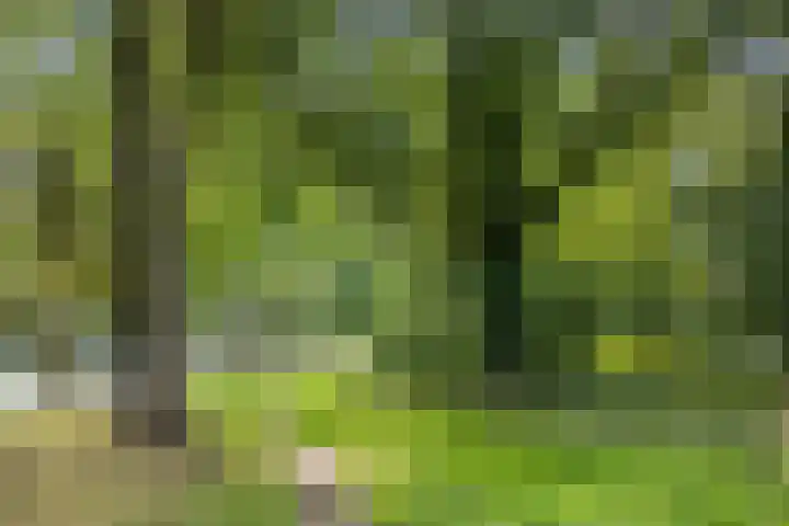 Meerdijkpark 3 Drunen thumbnail 57
