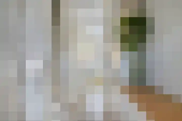 Meerdonk 2 Amersfoort thumbnail 13