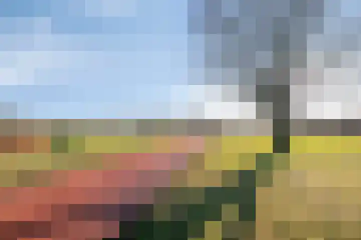 Meerdonk 2 Amersfoort thumbnail 31
