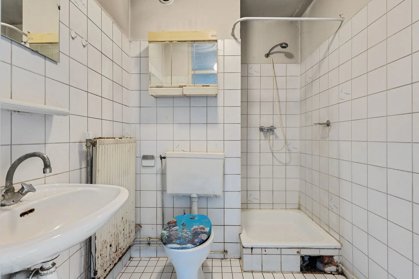 Meerdorpstraat 12 Hillegom thumbnail 28