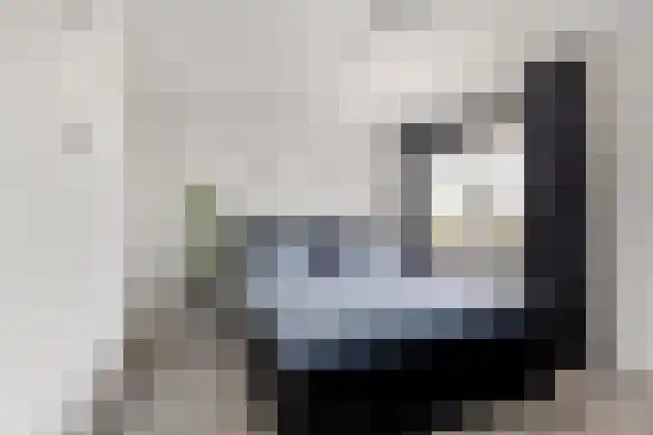 Meerdorpstraat 20 Hillegom thumbnail 11