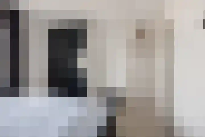 Meerdorpstraat 20 Hillegom thumbnail 12