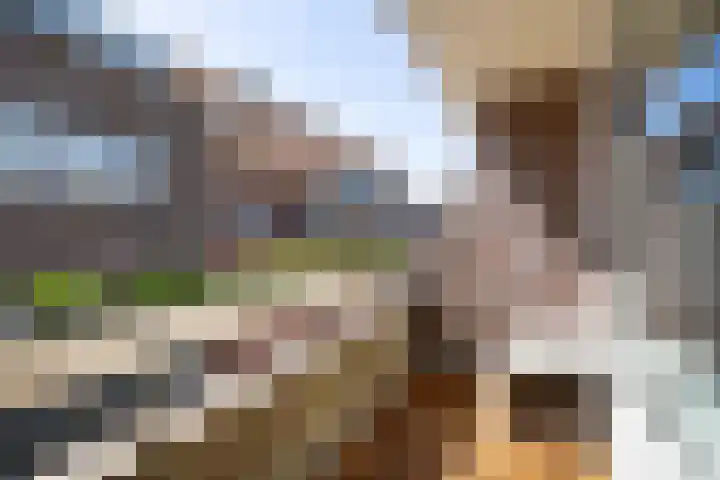 Meerdorpstraat 20 Hillegom thumbnail 15