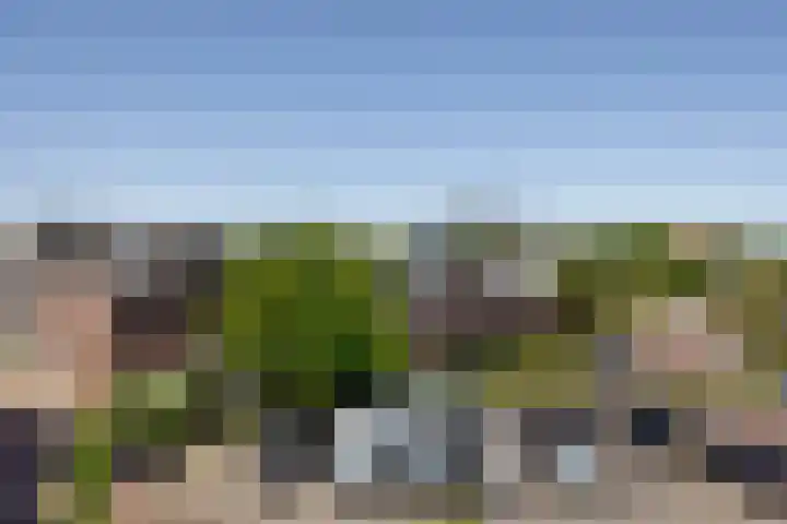 Meerdorpstraat 20 Hillegom thumbnail 19