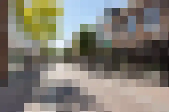 Meerdorpstraat 20 Hillegom thumbnail 21