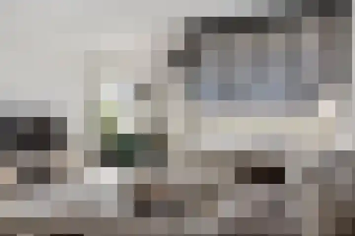 Meerdorpstraat 20 Hillegom thumbnail 4
