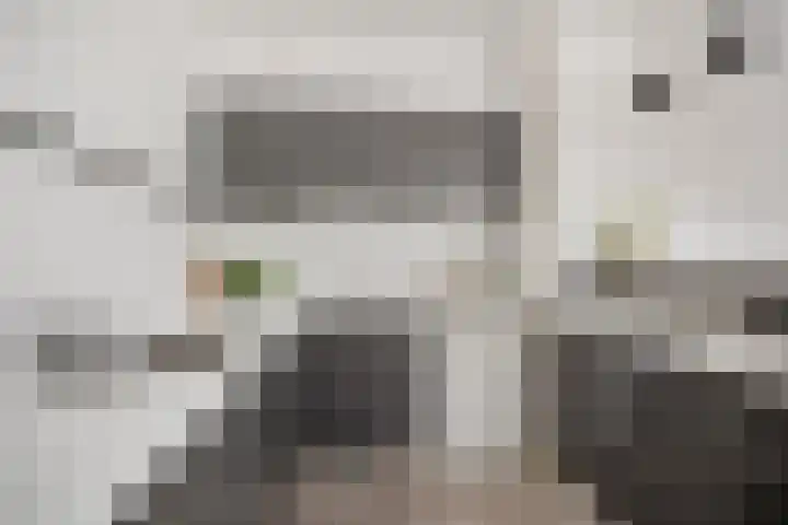 Meerdorpstraat 20 Hillegom thumbnail 7
