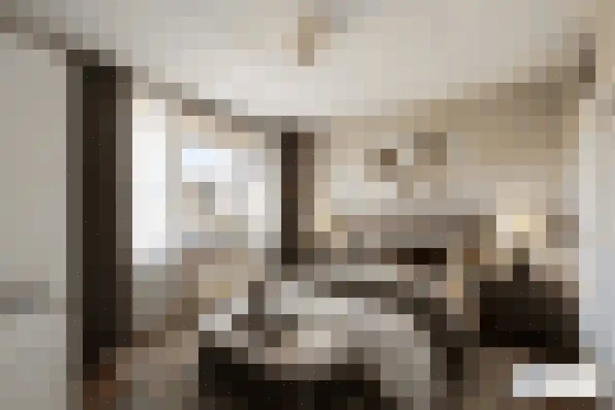 Meerdorpstraat 34 Hillegom thumbnail 10