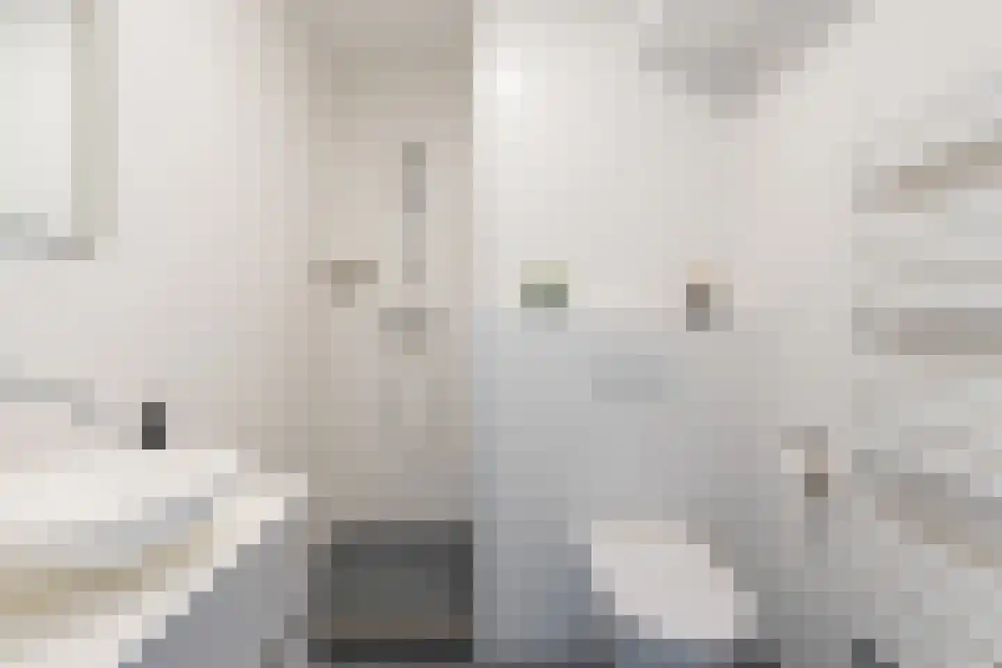 Meerdorpstraat 34 Hillegom thumbnail 12