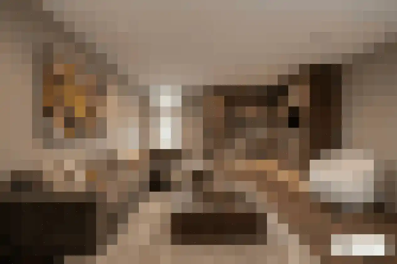 Meerdorpstraat 34 Hillegom thumbnail 7