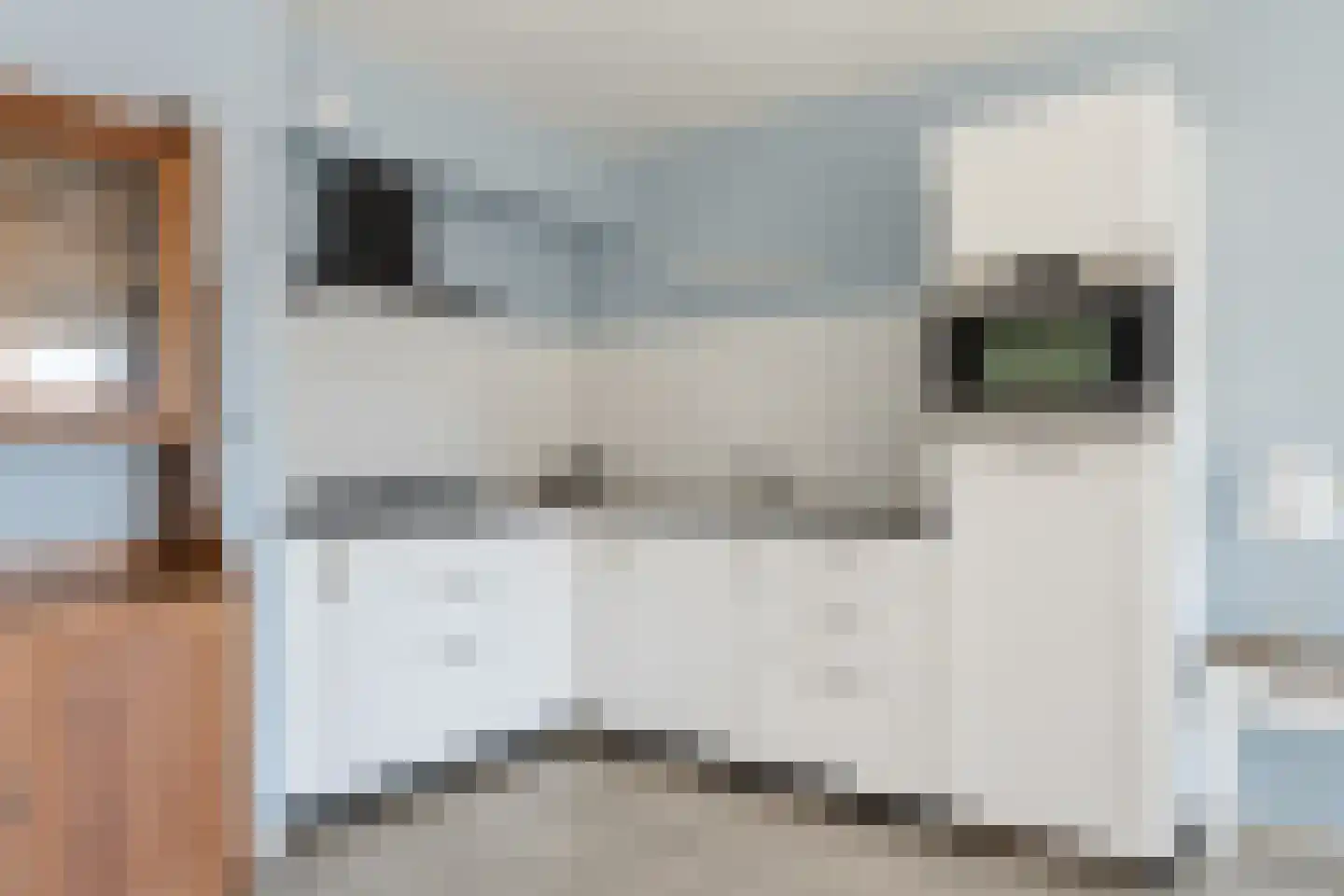 Meerdorpstraat 34 Hillegom thumbnail 8