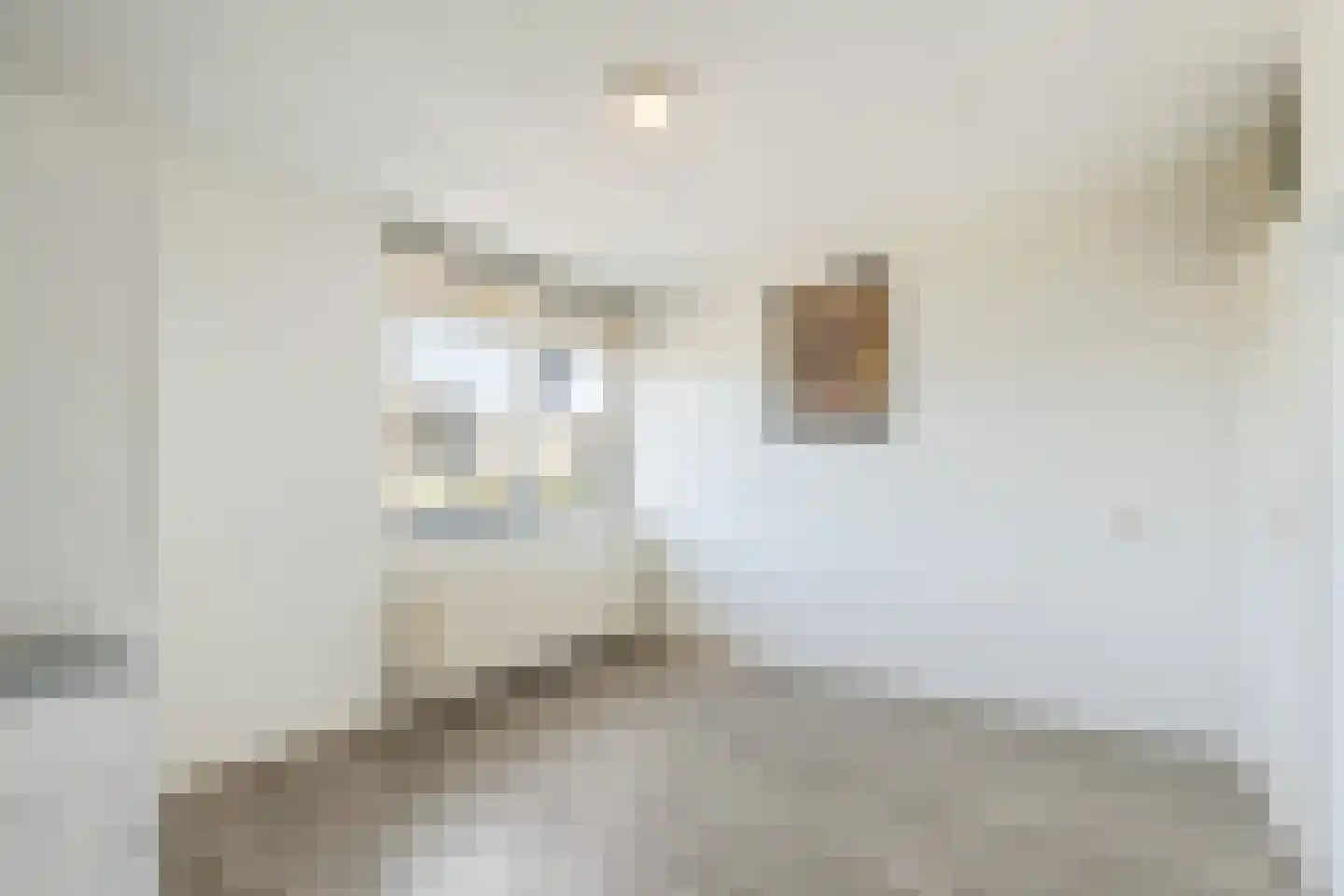 Meerdorpstraat 34 Hillegom thumbnail 9
