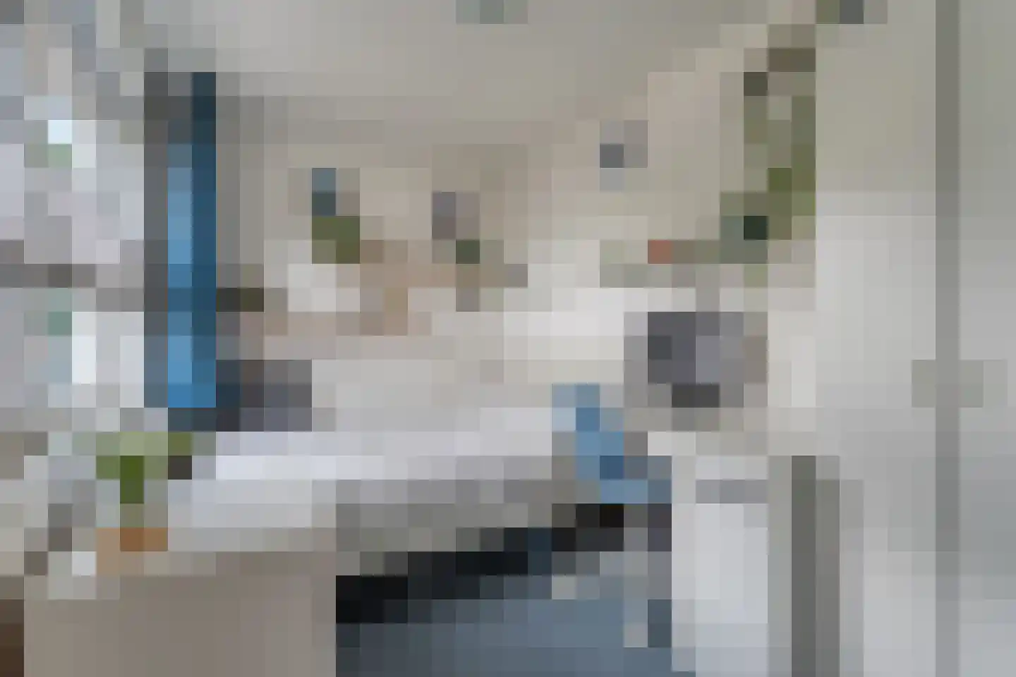 Meerdwarsweg 10 Emmen thumbnail 39