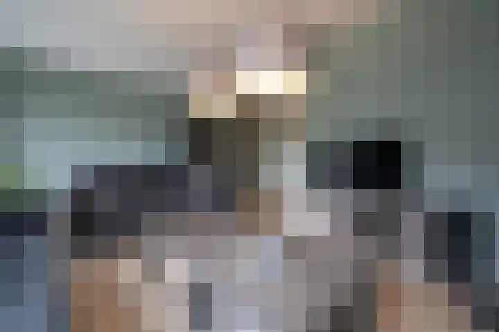 Meerenburg 16 Herwijnen thumbnail 10