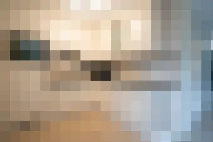 Meerenburg 16 Herwijnen thumbnail 13