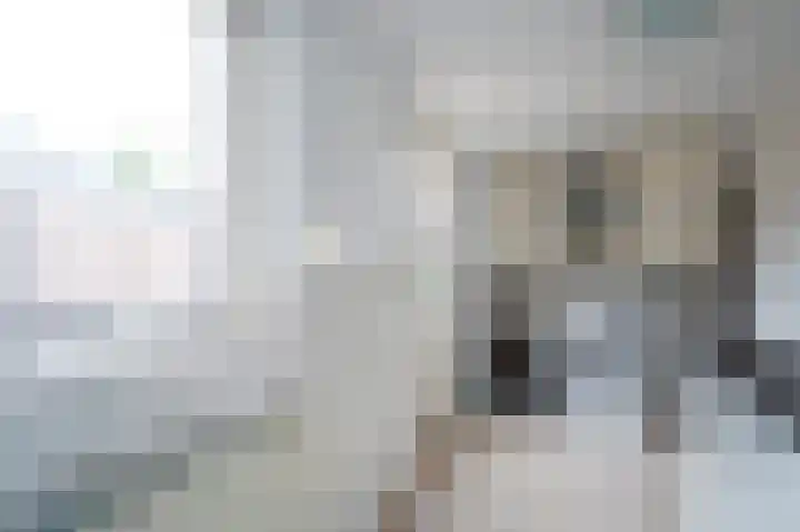 Meerenburg 16 Herwijnen thumbnail 14